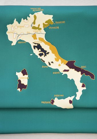 イタリア地図の柄