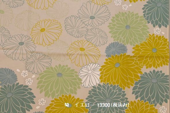 綿風呂敷100㎝巾/￥3,300　菊イエロ