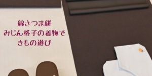 綿さつま絣みじん格子の着物できもの遊び