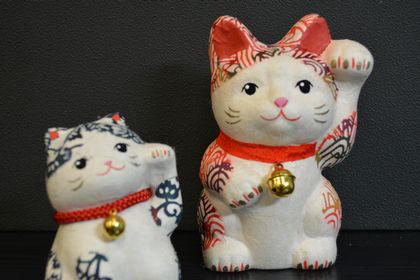 DSC_0002wasikanekineko.JPG