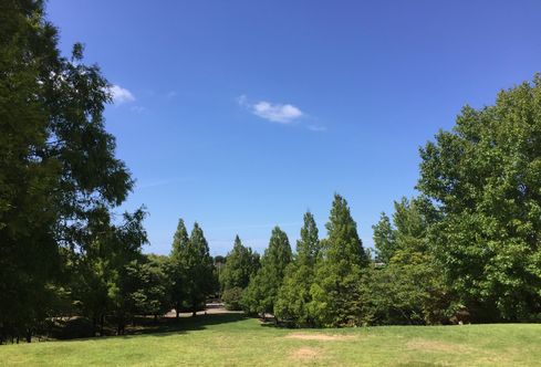 公園