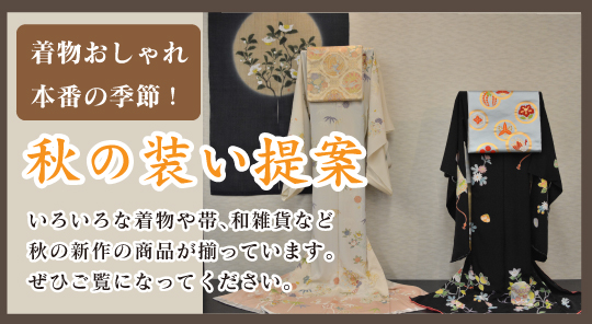 秋の装い提案