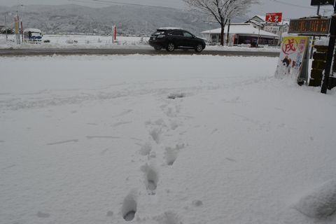 店の駐車場