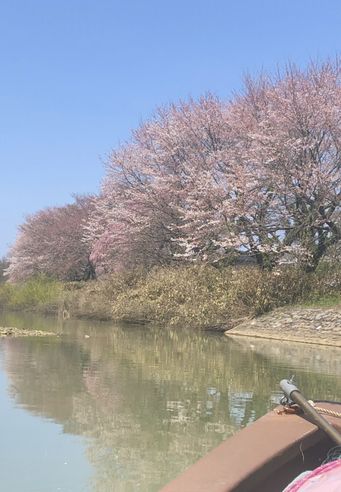 大聖寺川の流し船