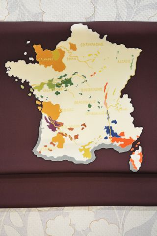 フランス地図の柄