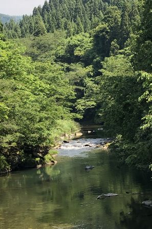 爽やかな風景