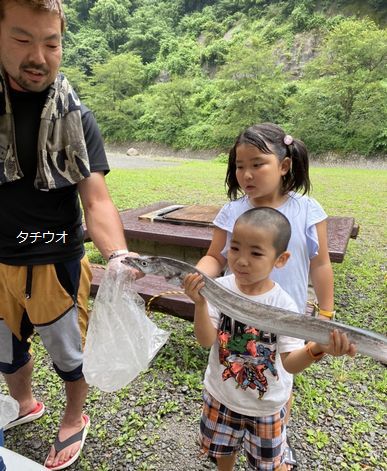 千丈温泉清流にて　タチウオ