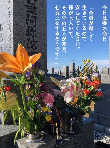 妻の命日,墓参り