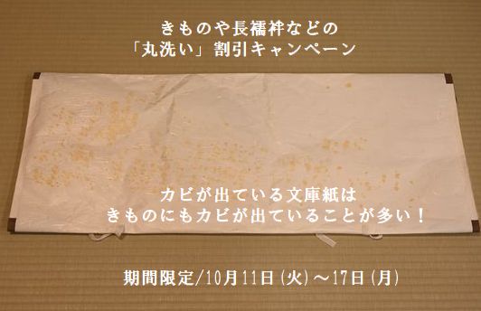 期間限定できものや長襦袢の丸洗い割引キャンペーン始めます