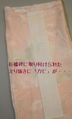 長襦袢のえり抜きにカビが出ていることが分かる