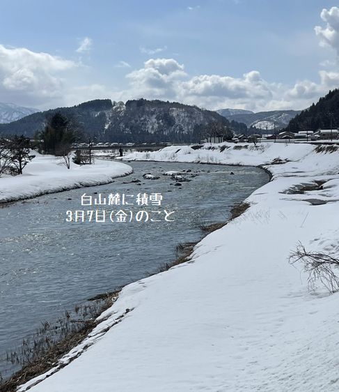 白山麓に積雪/3月7日のこと