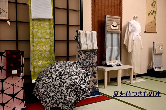 夏を待つきもの達