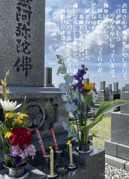 妻の月命日にお墓参り