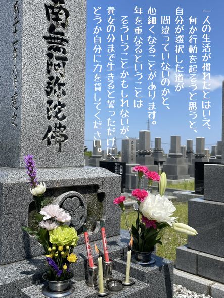 妻の月命日の日