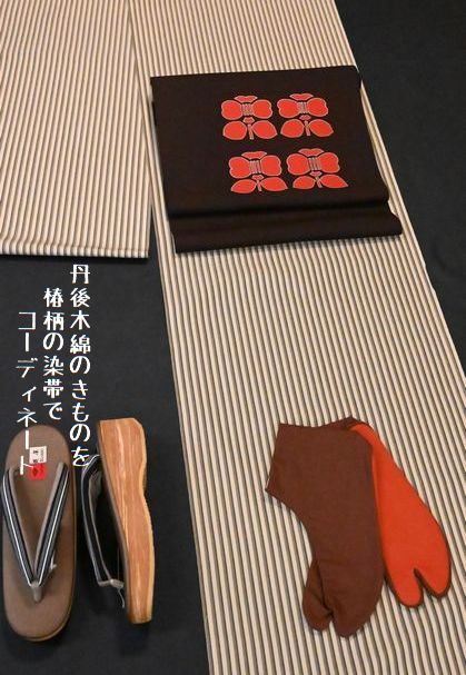 丹後木綿を椿柄の染帯でコーディネート