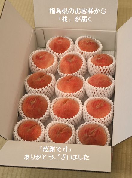 福島県のお客様から大きな桃が届く/感謝です