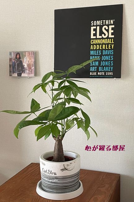 心が躍る部屋