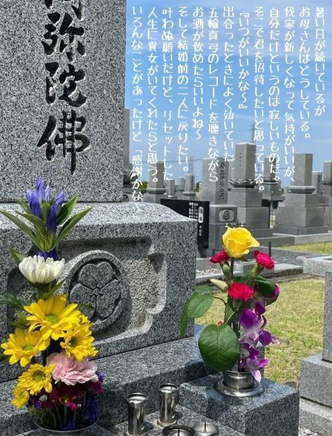 妻の月命日/二日早い墓参り