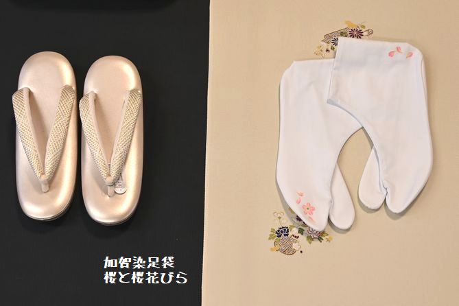 加賀染足袋の桜模様で春を演出