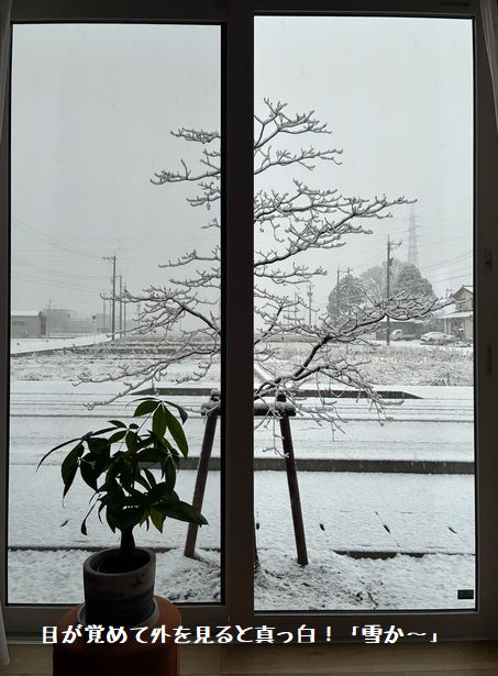 朝目が覚めて見た外の風景