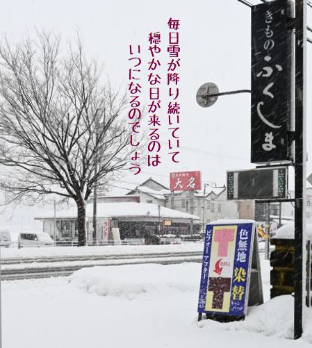 お客様を遠ざける天気が続く
