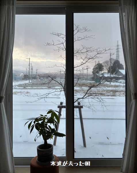 寒波が去った朝