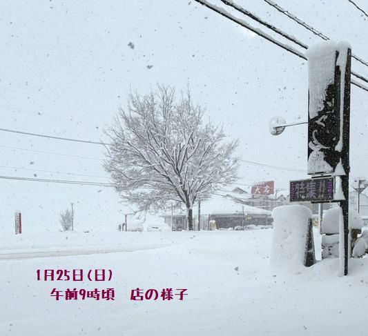 今朝1月25日(日)の店の様子