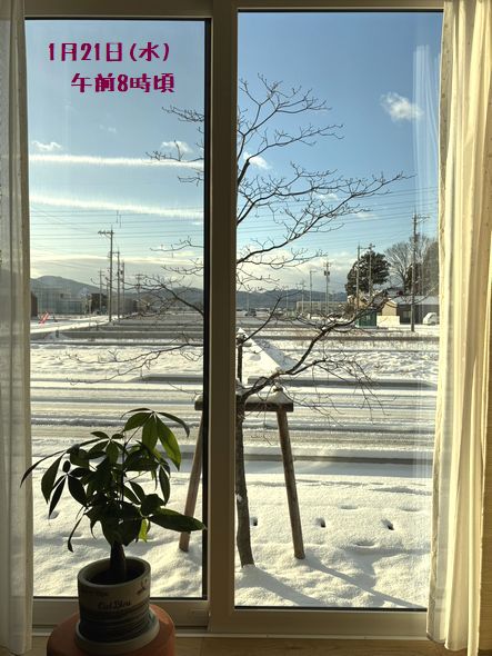 1月21日(水)