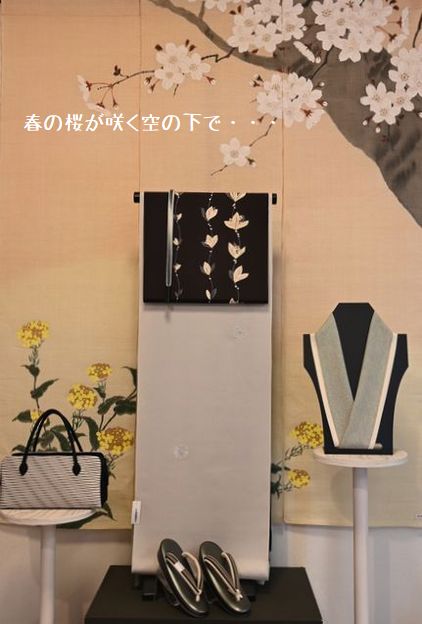 桜が咲く空の下できもの遊び