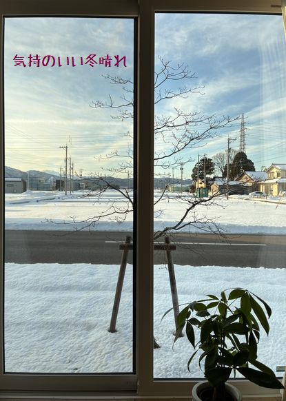 清々しい朝/冬晴れの天気