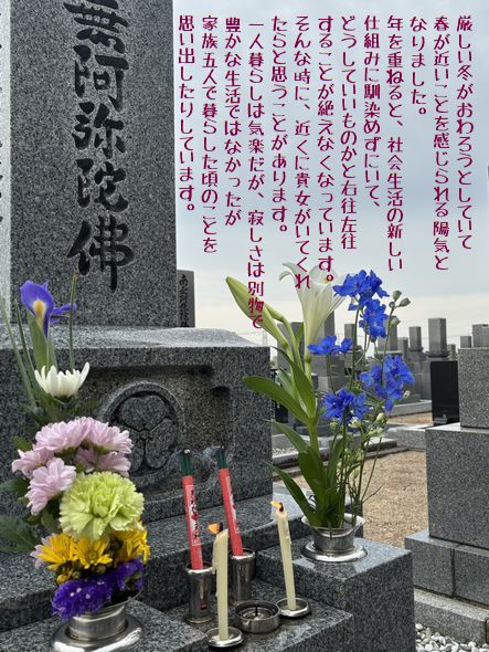 妻のお墓参り/二日早い月命日