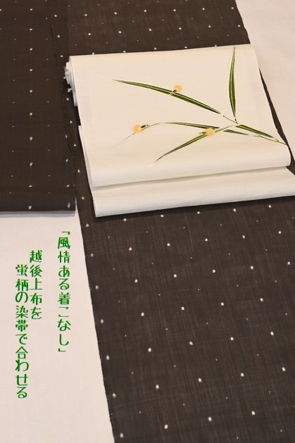 蛍模様の染帯で越後上布のきものを爽やかに着こなす