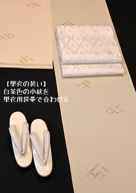 単衣の着こなし/白茶色の小紋を単衣の袋帯でコーディネート