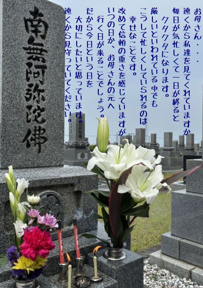 妻の月命日の日