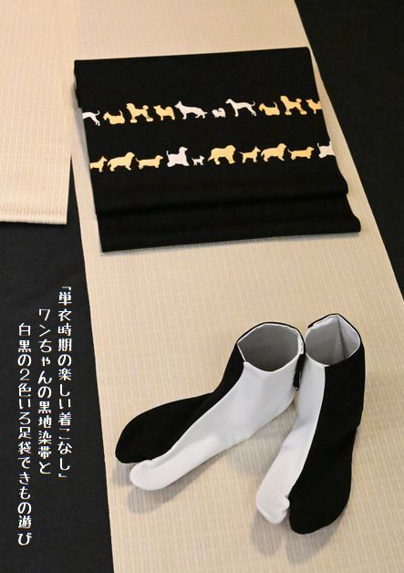 黒紙の犬の染帯と白黒の2色いろ足袋でお洒落を愉しむ
