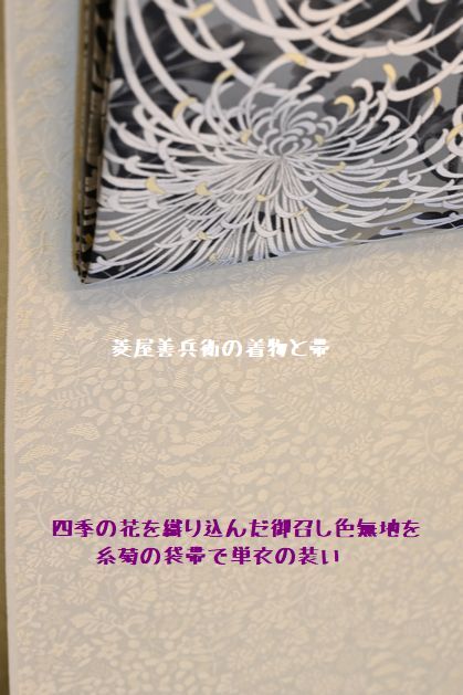 御召し色無地を糸菊の袋帯で単衣の装いとして見立てる
